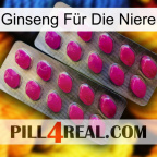 Ginseng Für Die Niere 10